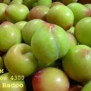 유구농장 이미지