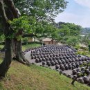 명재농장 이미지