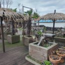 옹포소녀 이미지