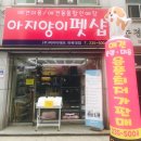 아지양이 펫샵 이미지