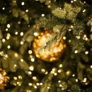 도그마루(왕십리점) 이미지