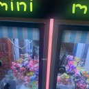 사라있네 이미지