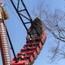 힘찬합기도주짓수태권도 | 금호동체육관 : 힘찬합기도주말체험활동