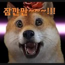 짱터 - 양산시 서들로 138 | 짱터