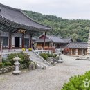 남해야채