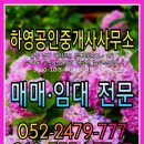 하영공인중개사사무소 네이버블로그