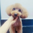 밴스동물병원 이미지