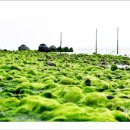 보성바다스토리리조트 이미지