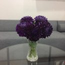 인우당한의원 이미지