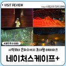 동탄 네이처스케이프플러스 아이랑가볼만한 곳 용인 키즈카페