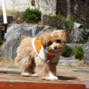 구평동물병원 이미지