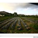 희망농장 이미지