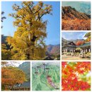 용문산광장