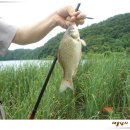 율리저수지 이미지