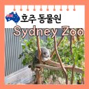 [호주 여행 명소] 시드니 주 동물원 코알라 캥거루 후기 기념품 입장료