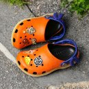 기를품은 이미지