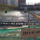 산동농장 이미지