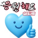 포항행사 실시간 라이브 링크 입니다~~ 이미지