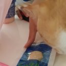 건천2천 이미지