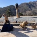 아트 주식회사 이미지