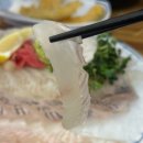 수산 마켓 | 마곡역 횟집 수산마켓 광어 우럭 내돈내산 솔직후기