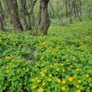 이마당약수터 이미지