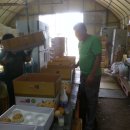 진석농장 이미지