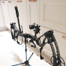 쿠마(KUMA) 이미지