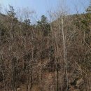 카카오부동산공인중개사사무소 이미지