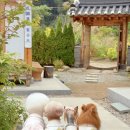 화림원
