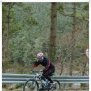 산양일주로 이미지