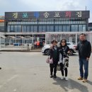 코리아나노래방 | 신일모피 #엄민영회장님 주최 강릉 경포대 벚꽃구경 2회차 관광 겸 홍보 투어