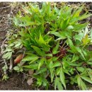 바산농장 이미지