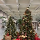 오션564 | 더현대 크리스마스 분위기 느끼고 싶어서 금요일 밤 김포 현대아울렛 갔다가 낭패 본 이유?