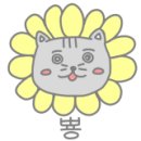 라라캣 이미지
