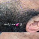 해피민헤어