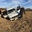 생림오토캠핑장 이미지