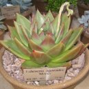 동운가든 이미지