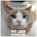 중동우리아이동물병원 이미지