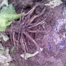 병현농장 이미지