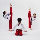 도솔 태권도 체육관 이미지