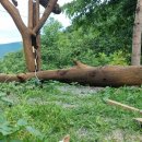 철수목장 이미지