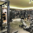 스포애니 광화문역점 | 광화문역헬스장 직접 다녀온 리얼후기! 스포애니 광화문역점 만족도 최고였어요