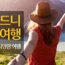 원더풀여행사