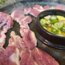 산천오리 이미지