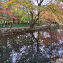 시티원부동산중개 이미지