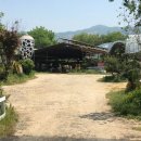 나실목장 이미지