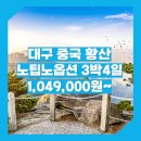 태평여행사 | 대구_황산_3박4일_노팁노옵션 #서체 #중국 #TW / 대구여행사 추천