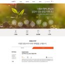 청년 네트웍스