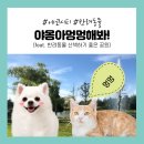 로마네 간식나라 | 전주 애견미용 애견용품샵 야옹아 멍멍해봐 에코시티점 내돈내산 후기